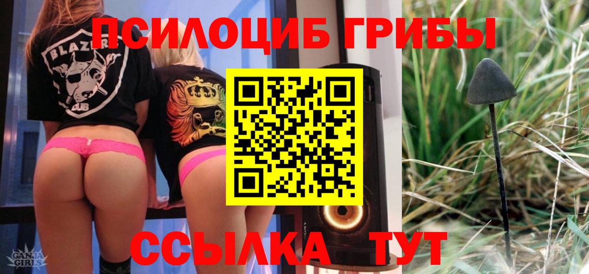 Галлюциногенные грибы мицелий Балашов