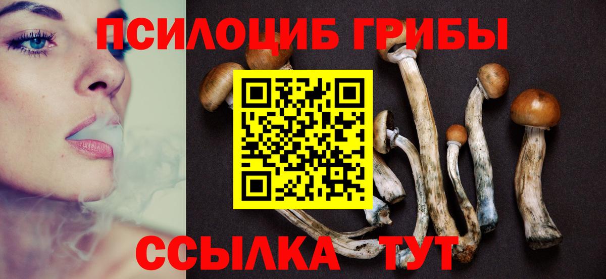 Галлюциногенные грибы GOLDEN TEACHER  Вход с VPN  Балашов 
