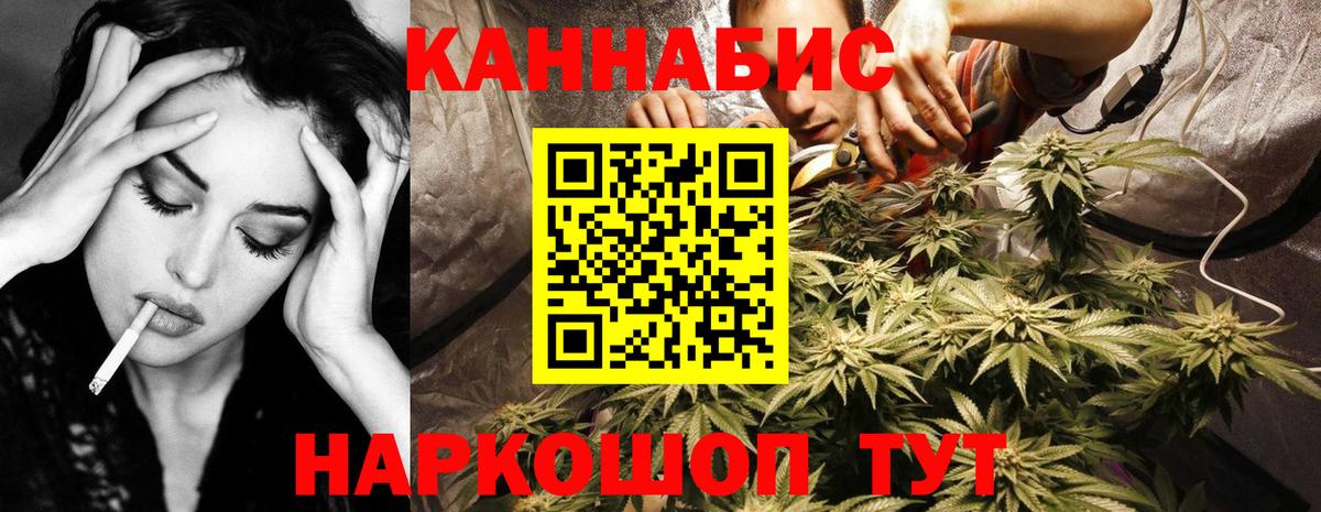 Каннабис сатива Балашов